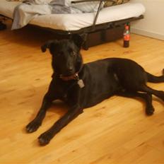 Blanding af racer Keiko<3 R.I.P.