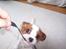 Cavalier king charles spaniel Eilidh