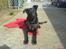 Blanding af racer Keiko<3 R.I.P.