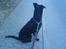 Blanding af racer Keiko<3 R.I.P.