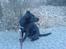 Blanding af racer Keiko<3 R.I.P.