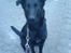 Blanding af racer Keiko<3 R.I.P.