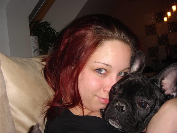 Fransk bulldog Koda (Lancome's Æmmerick) billede 13