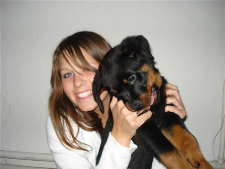 Rottweiler Chica - Mhh, Mors finger smager nu meget godt :)  billede 5