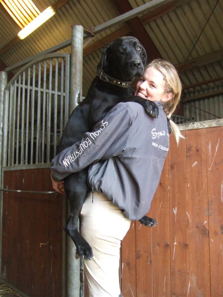 Blanding af racer Sally billede 11