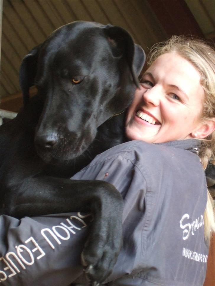 Blanding af racer Sally billede 12