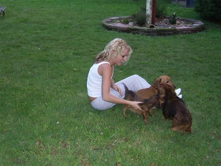 Gravhund Gizmo - Min mor, far og mig selv ! Også vores ejer Nathasja  billede 6