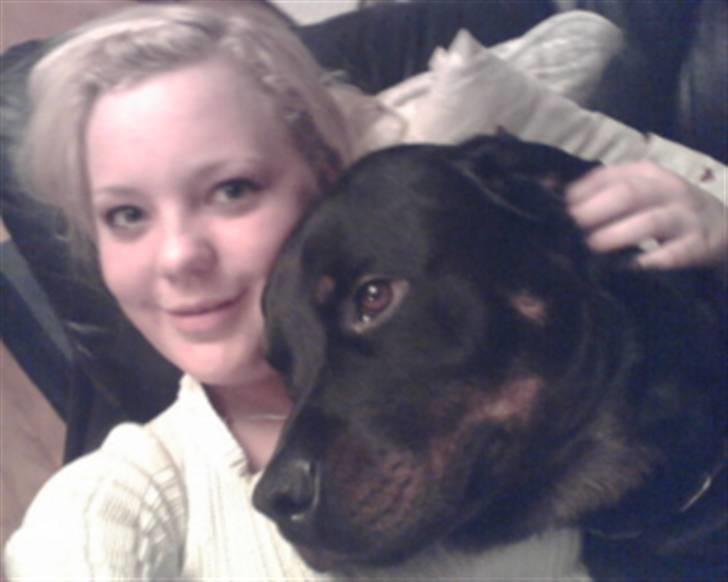 Rottweiler Odin billede 8