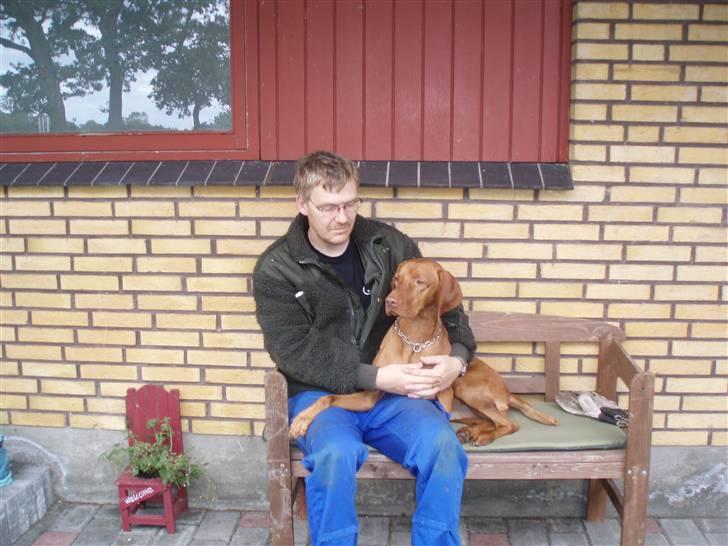 Vizsla Balou billede 5