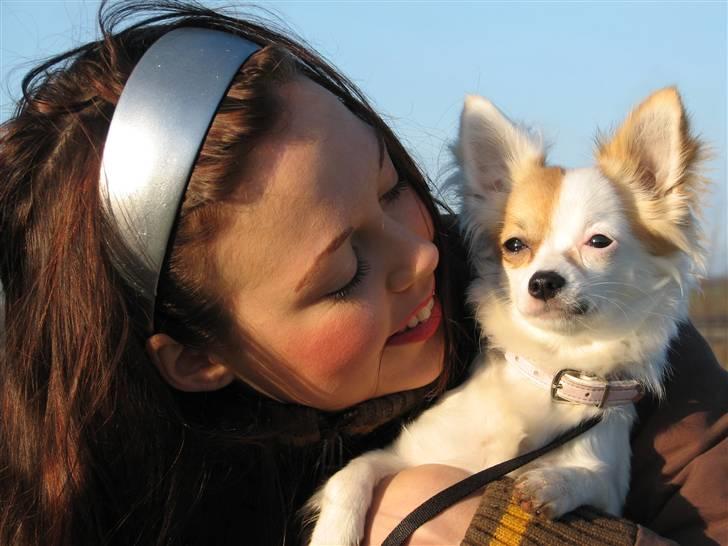 Chihuahua Store Møf - Nala og Farmor billede 5