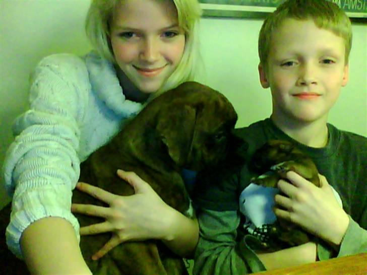 Boxer Kaj - josephine og oliver med kajs nye halvbror billede 3