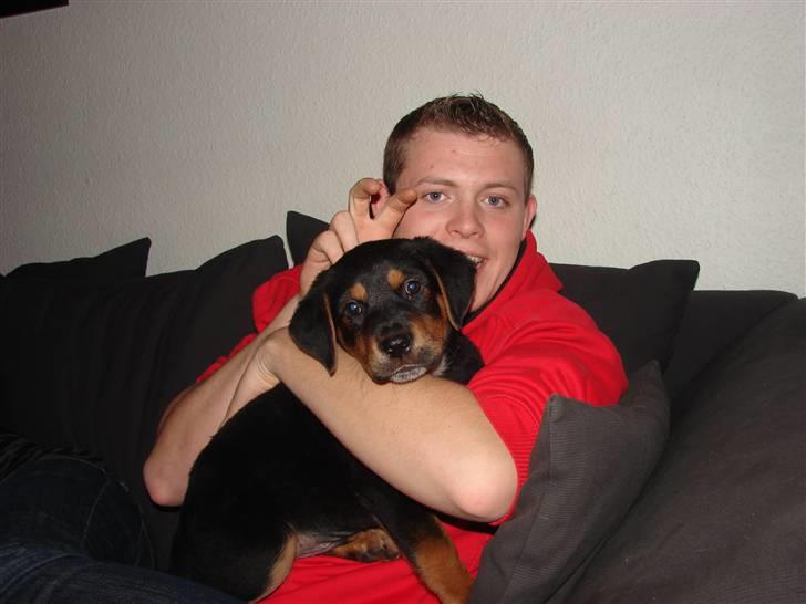 Blanding af racer Max billede 20