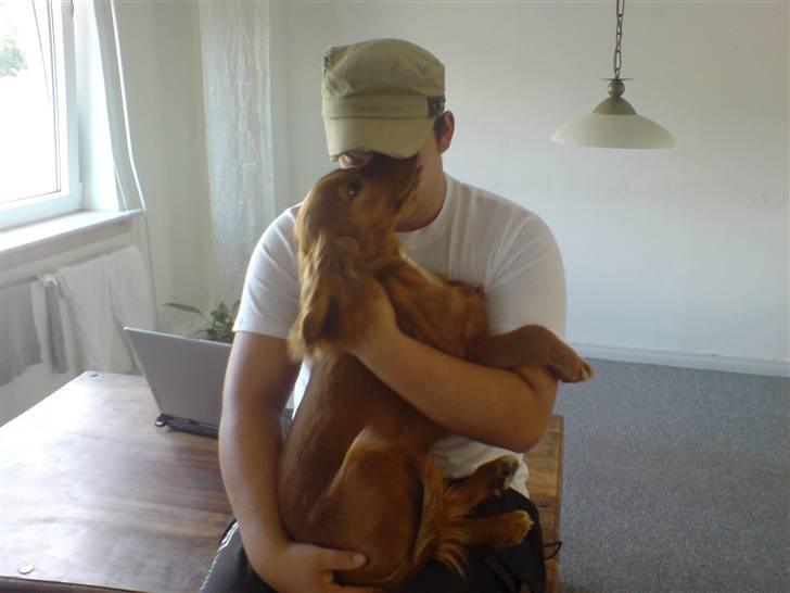 Cocker spaniel Nala - nala og min bror kenny hygger sig.. billede 3
