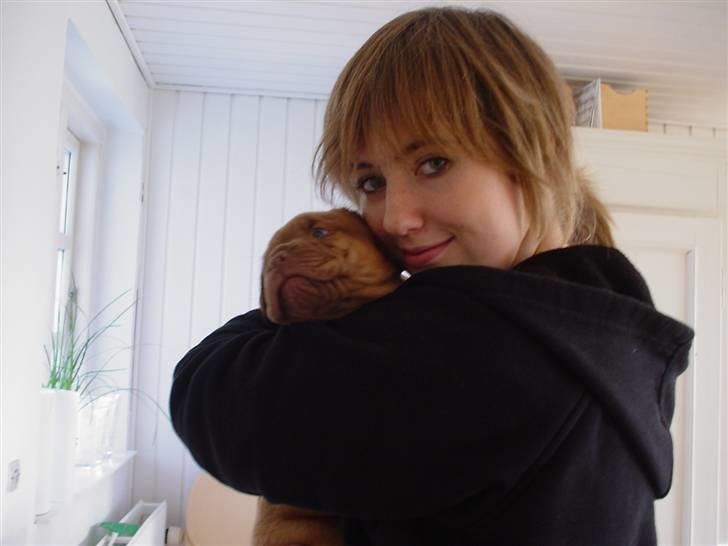 Dogue de bordeaux viola  - ´ Alberte og Viola (;   ( 7 uger gammel ) billede 2