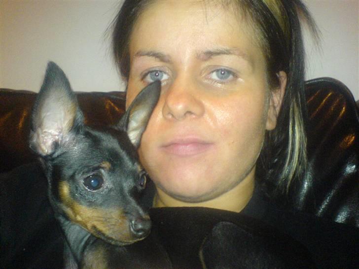 Prazsky krysarik Gucci - Knold og Tot billede 8