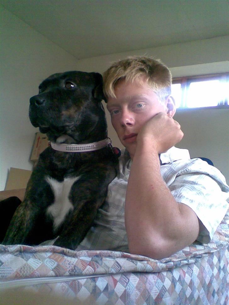 Blanding af racer Nynne R.I.P. - Se hvor stolt hun er over sin far. Hehe. billede 11