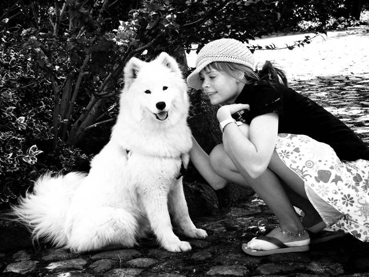 Samojedhund Discos Wummi - mig og min ejer og familie på ferie på Falster. billede 9