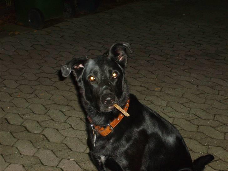 Blanding af racer Keiko<3 R.I.P. billede 4