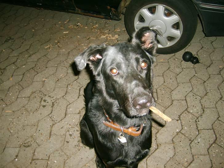 Blanding af racer Keiko<3 R.I.P. billede 5