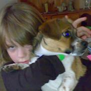 Blanding af racer Ozzy