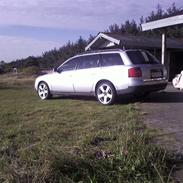 Amerikansk bulldog asger