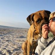 Blanding af racer Bjørn