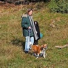 Blanding af racer Sally