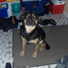 Blanding af racer Trine *R.I.P*