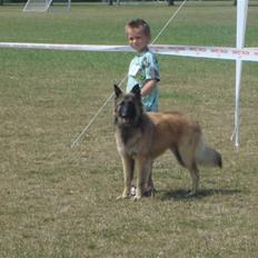 Tervueren Ask A Flame Of Pride