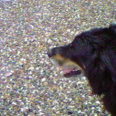 Blanding af racer Thyson ' nye billeder <3