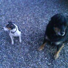 Blanding af racer Thyson ' nye billeder <3