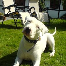 Blanding af racer Emma Dilemma R.I.P