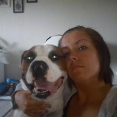 Blanding af racer Eddy