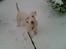 Blanding af racer Emma Dilemma R.I.P - Uh ja! Sne er alleryndlings..