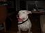 Blanding af racer Emma Dilemma R.I.P - Strike the pose! Smuk er man jo..