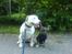 Blanding af racer Emma Dilemma R.I.P - Sammen med Oscarmand