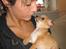 Chihuahua Ofelia