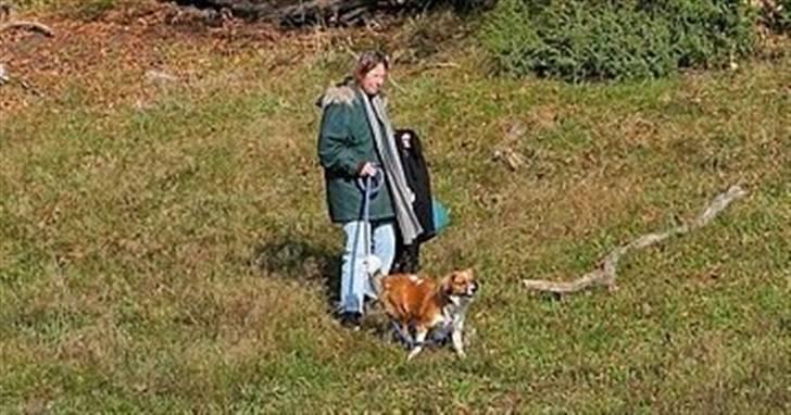 Blanding af racer Sally billede 3