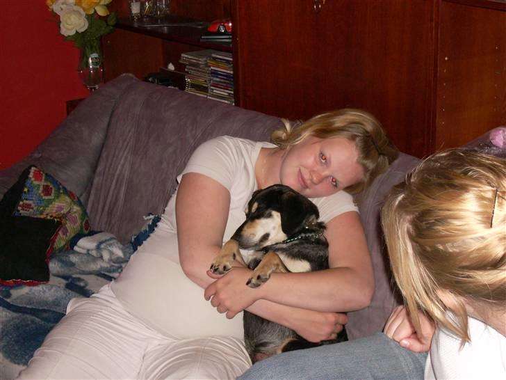 Blanding af racer Basse (solgt)  billede 1