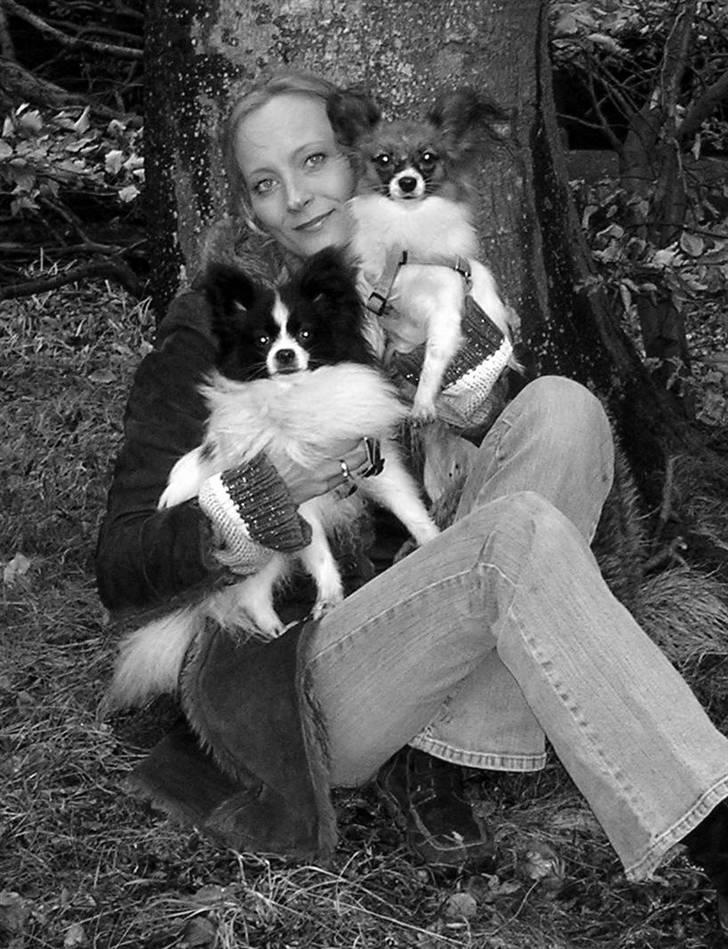 Papillon Balou. - Så skrid pomfrit !!! billede 12