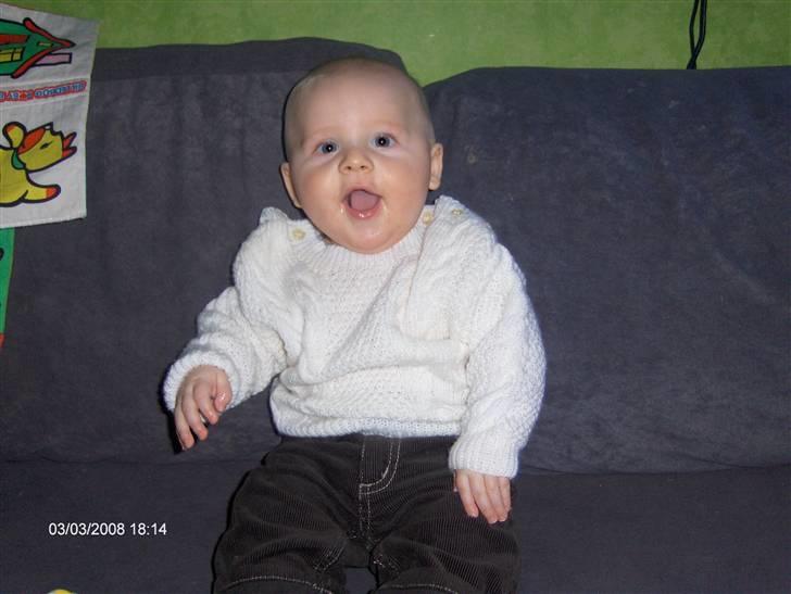 Fransk bulldog lulu - den lille nye søn født 15.9.07 billede 14