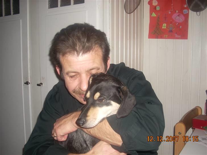 Blanding af racer Basse (solgt)  billede 10