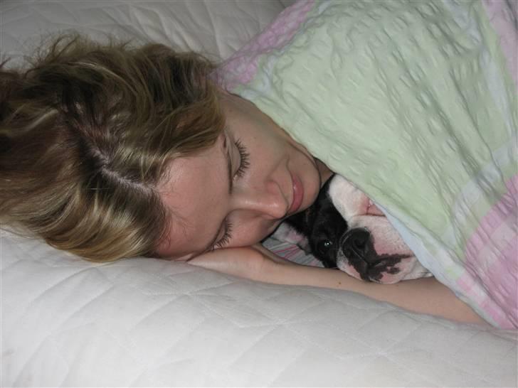 Fransk bulldog Else - Ih endelig en der forstår hvad jeg elsker billede 15