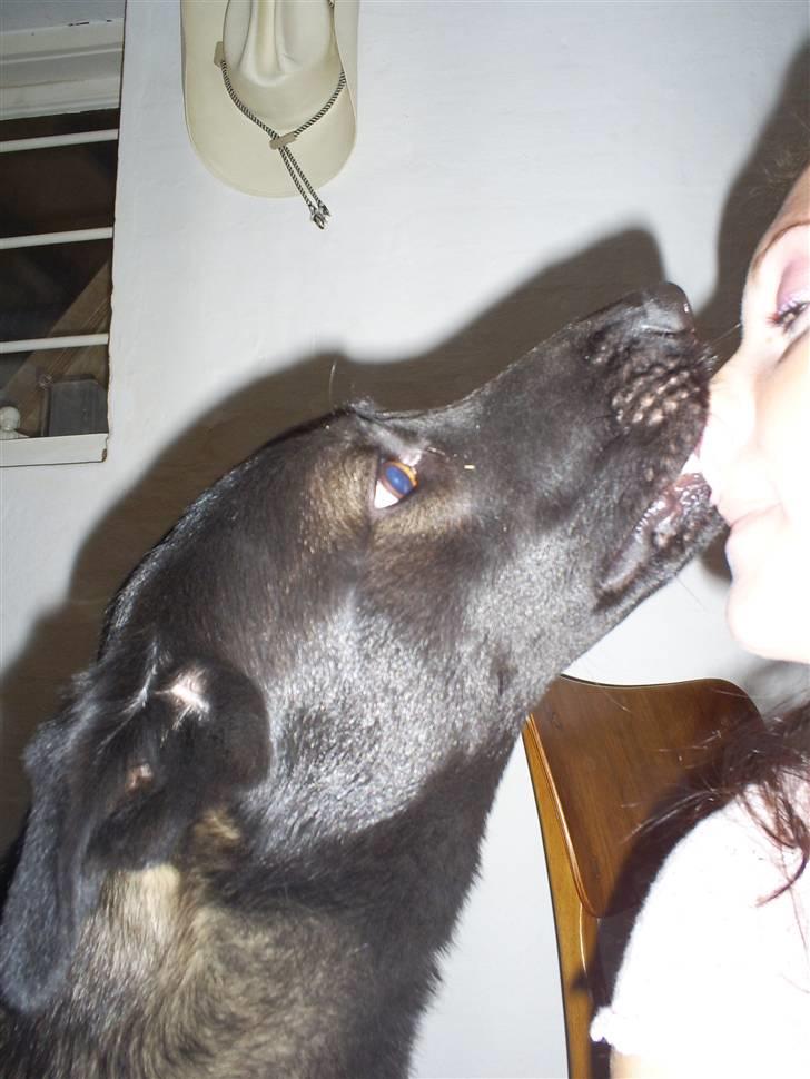 Blanding af racer Pawi R.I.P - Mmm...et kys til "mor" billede 10