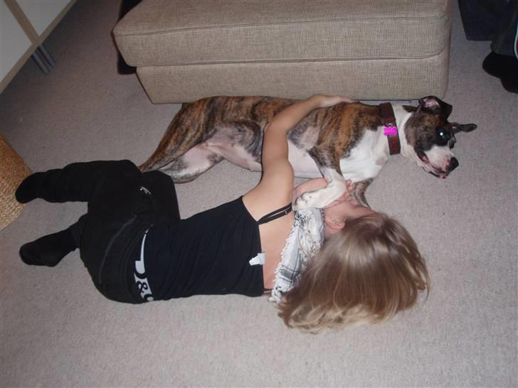 Blanding af racer Raya - Raya og Cecilie billede 10