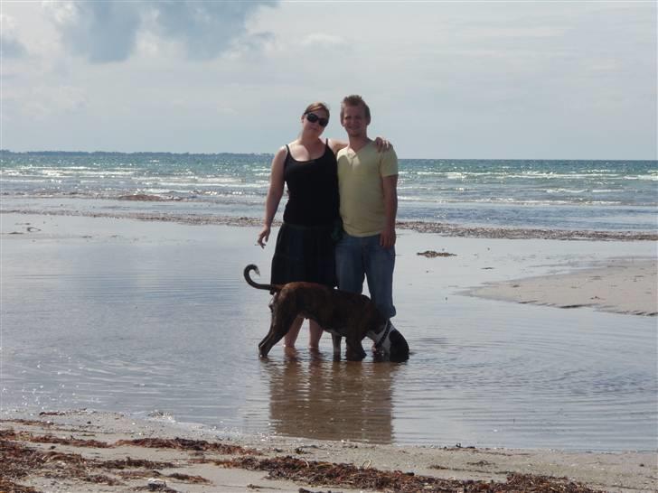 Blanding af racer Raya - Os alle tre på stranden billede 15