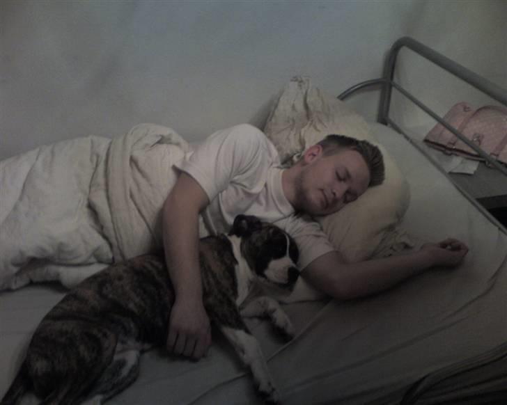 Blanding af racer Raya - Raya putter med Tim billede 16