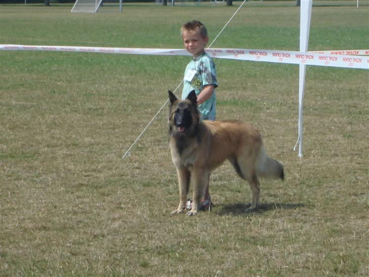 Tervueren Ask A Flame Of Pride - Det er mig samme med Mike står jeg ikke flot billede 3