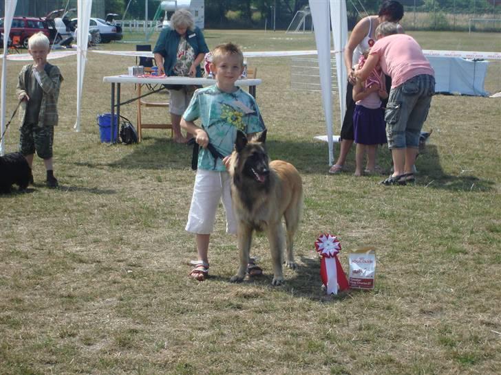Tervueren Ask A Flame Of Pride - Mike og mig fik en 1 plas i Barn og hund ved udstilling billede 4