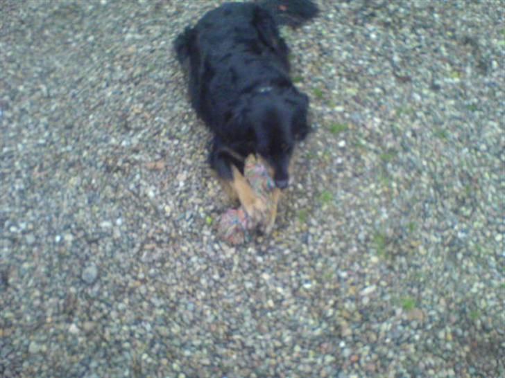 Blanding af racer Thyson ' nye billeder <3 - Thyson billede 9